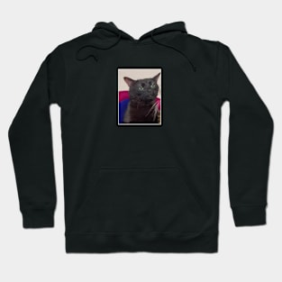 CAT ZONING OUT MEME Hoodie